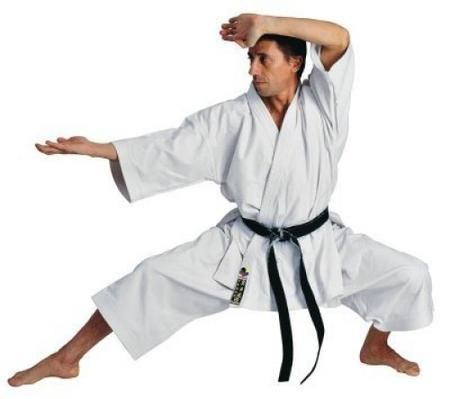 Hayashi karate gi TENNO 150