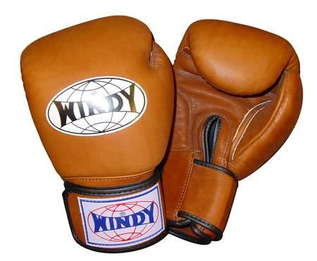 Boxerské rukavice Windy Retro 10