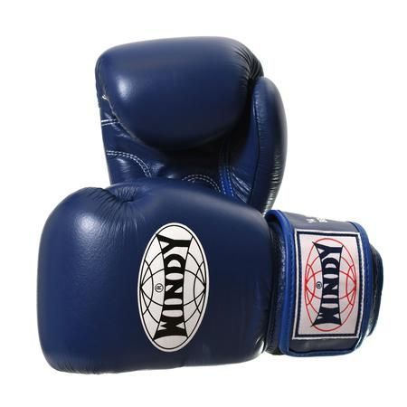 Boxerské rukavice WINDY Special - modrá 10