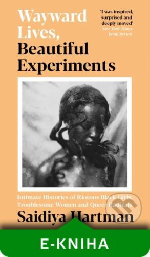 Wayward Lives, Beautiful Experiments - Saidiya Hartman