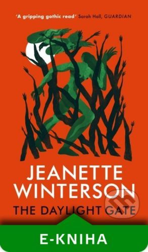 The Daylight Gate - Jeanette Winterson