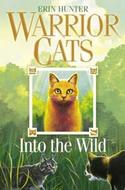 Warrior Cats: Into the Wild - Hunter Erin