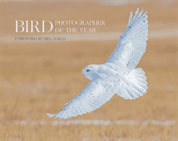 Bird Photographer of the Year - Collection 6 (Bird Photographer of the Year)(Pevná vazba)