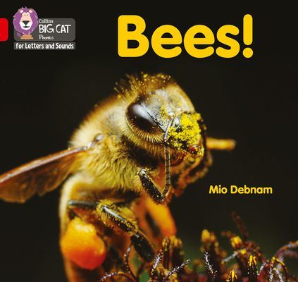 Bees! - Band 02b/Red B (Debnam Mio)(Paperback / softback)