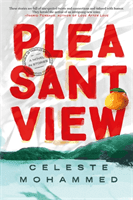 Pleasantview (Mohammed Celeste)(Pevná vazba)