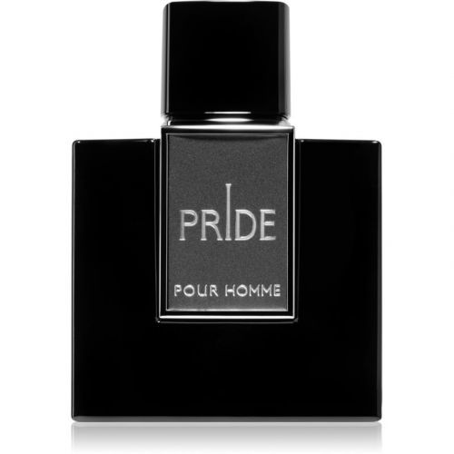 Afnan Pride Homme parfémovaná voda pro muže 100 ml