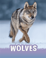 Wolves (Schuh Mari)(Paperback / softback)