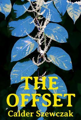 Offset (Szewczak Calder)(Paperback / softback)