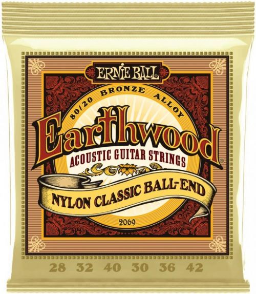 Ernie Ball Earthwood Folk