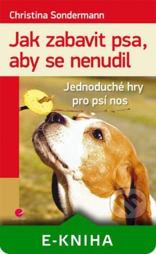 SONDERMANN CHRISTINA Jak zabavit psa, aby se nenudil