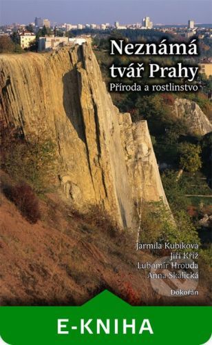 HROUDA LUBOMÍR, KŘÍŽ JIŘÍ, KUBÍKOVÁ JARMILA, SKALICKÁ ANNA Neznámá tvář Prahy