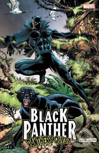 Black Panther: Panther's Quest (McGregor Don)(Paperback)