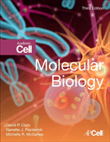 Molecular Biology (Clark David P. (Southern Illinois University Carbondale Illinois USA))(Pevná vazba)