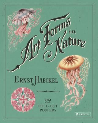 Ernst Haeckel: Art Forms in Nature: 22 Pull-Out Posters (Haeckel Ernst)(Paperback / softback)