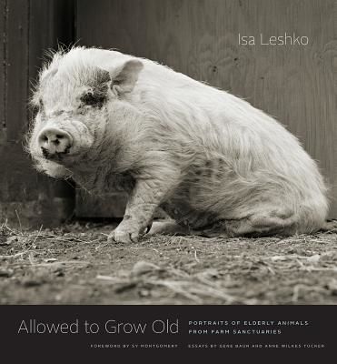 Allowed to Grow Old - Portraits of Elderly Animals from Farm Sanctuaries(Pevná vazba)