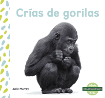 Crias de gorilas (Baby Gorillas) (Murray Julie)(Paperback / softback)