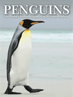 Penguins - Stunning Photographs of the World's Favourite Seabird (Jackson Tom)(Pevná vazba)