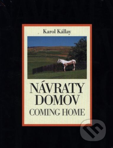 Návraty domov - Karol Kállay