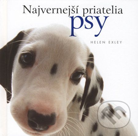 Najvernejší priatelia psy