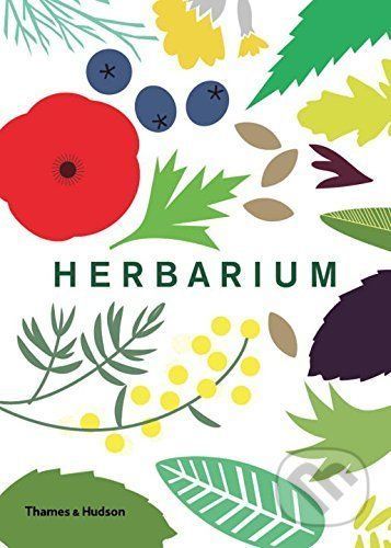 HILDEBRAND CAZ Herbarium