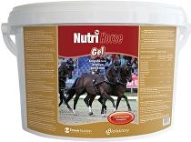 Nutri Horse GEL (GELATIN) pro koně 1kg-1975