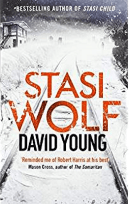 Stasi Wolf - Young David