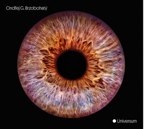 Universum - CD - Brzobohatý Ondřej