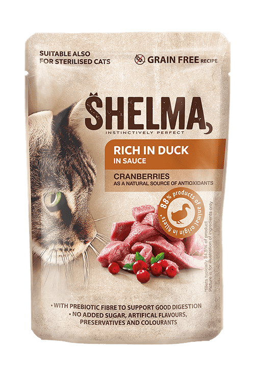 Děrovaný míč zelený 12,5cm