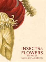 Insects & Flowers: The Art of Maria Sibylla Merian (Brafman David)(Paperback)