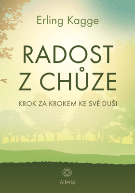 Radost z chůze - Erling Kagge - e-kniha