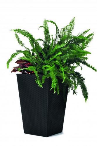 Keter Keter Rattan planter S - grafit