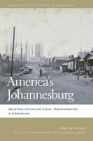 America's Johannesburg - Industrialization and Racial Transformation in Birmingham (Wilson Bobby M.)(Paperback / softback)