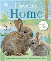 I Love My Home (DK)(Board book)