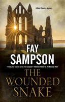 Wounded Snake (Sampson Fay)(Paperback / softback)
