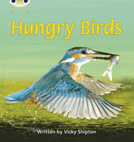 Bug Club Phonics Non-fiction Set 23 Hungry Birds (Shipton Vicky)(Paperback / softback)