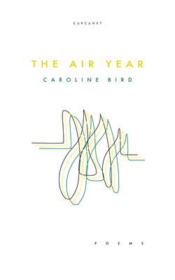 Air Year (Bird Caroline)(Paperback / softback)