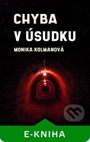 Chyba v úsudku - Monika Kolmanová