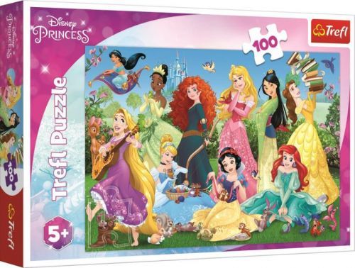 Puzzle Disney Princess / Okouzlující princezny, 100 dílků