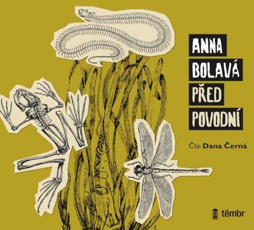 CD Před povodní - audioknihovna - Bolavá Anna