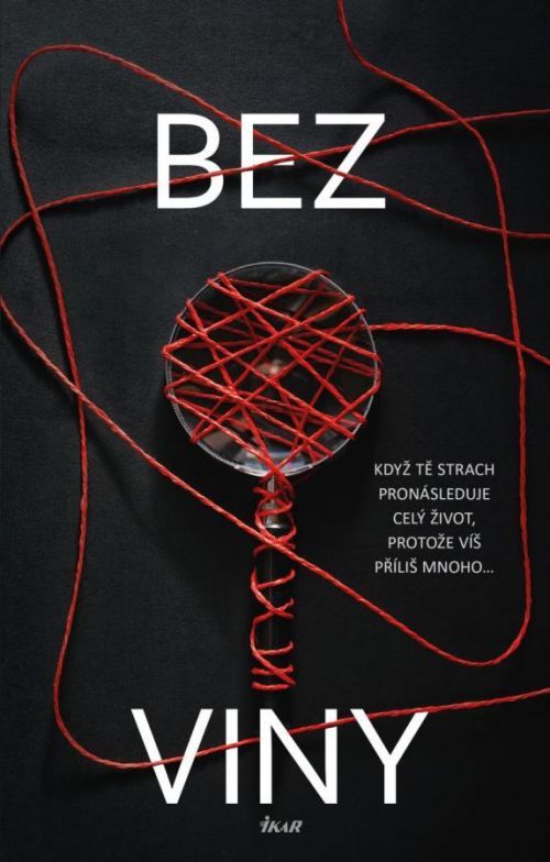 Bez viny - Linková Charlotte