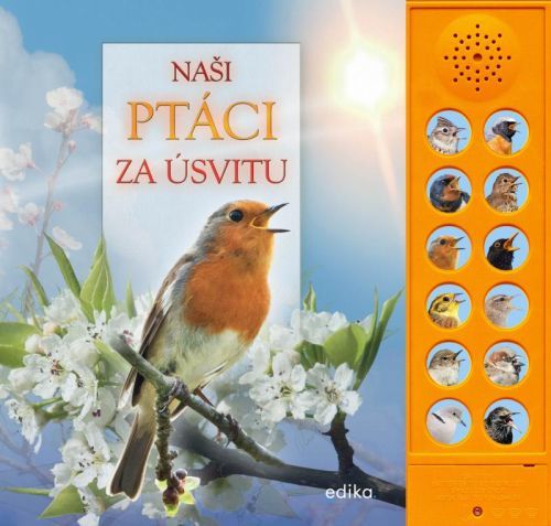 Naši ptáci za úsvitu - Andrea Pinnington, Caz Buckingham, kolektiv autorů, Leporelo