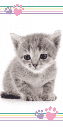 Jerry Fabrics Bavlněná froté osuška 70x140 cm - Kitten 