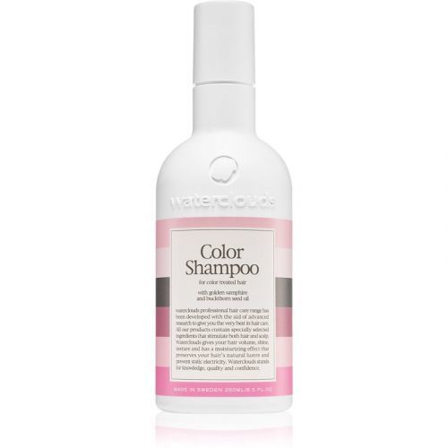 Waterclouds Color Shampoo šampon na ochranu barvy 250 ml