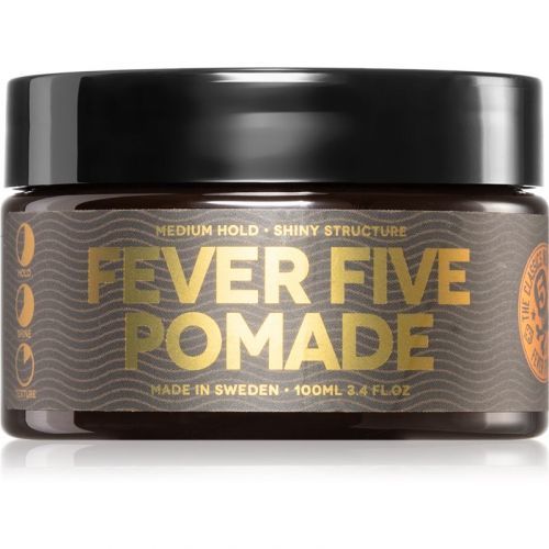 Waterclouds The Dude Fever Five Pomade vlasová pomáda na vodní bázi 100 ml