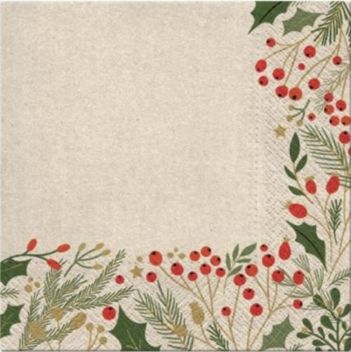 Zet servis Ubrousky vánoční PAW ECO L SDLE 021400