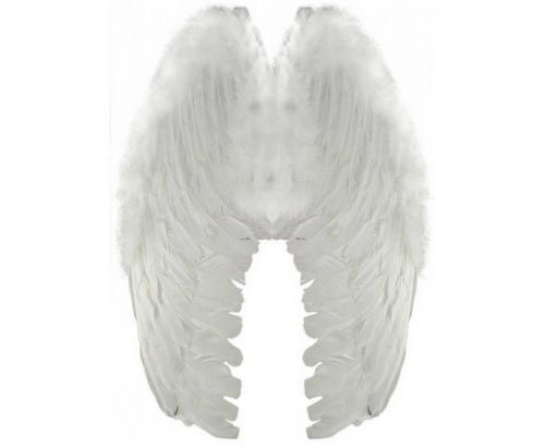 křídla andělská s peřím