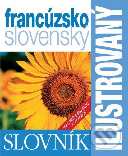 Ilustrovaný dvojjazyčný slovník francúzsko slovenský