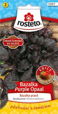 Bazalka pravá - Purple Opaal