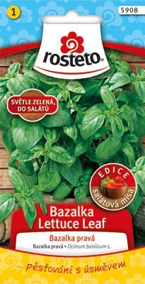 Bazalka pravá - Lettuce Leaf