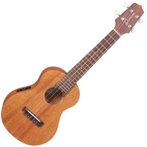 Takamine EGU-C1